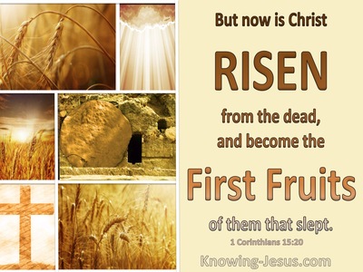 1 Corinthians 15:20 Christ Is Risen The Firstfruit Of Them That Slept (beige)